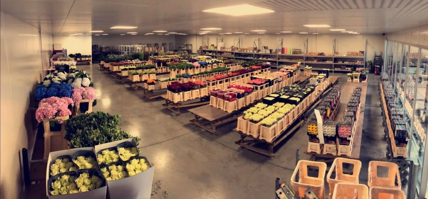 Entrepôt Dupont Flowers à Alleur — Réservé aux fleuristes professionnels