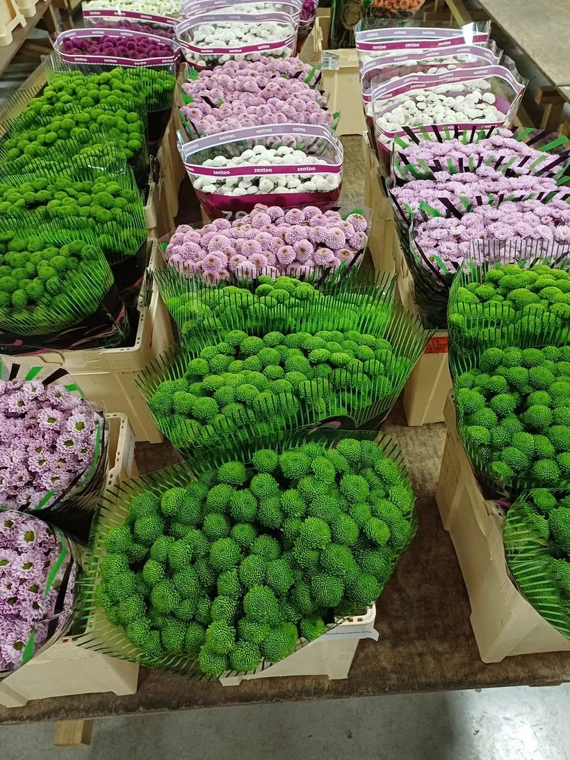 Accessoires et matériel de fleuriste chez Dupont Flowers